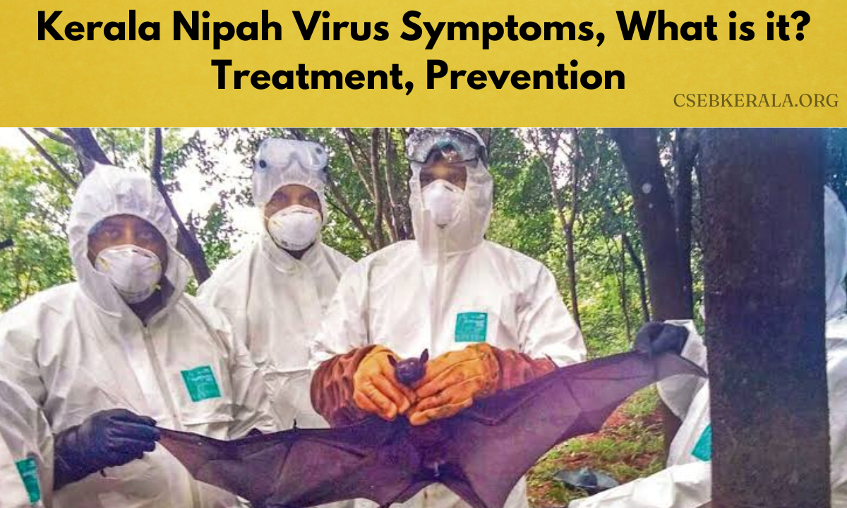 Kerala Nipah Virus Symptoms, What Is It? Treatment, Prevention - CSEBKERALA